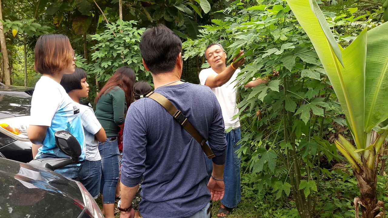Photo of Others in Suan Phueng