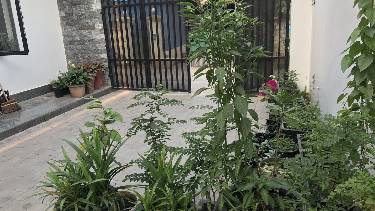 Photo of Outdoor in Siem Reap