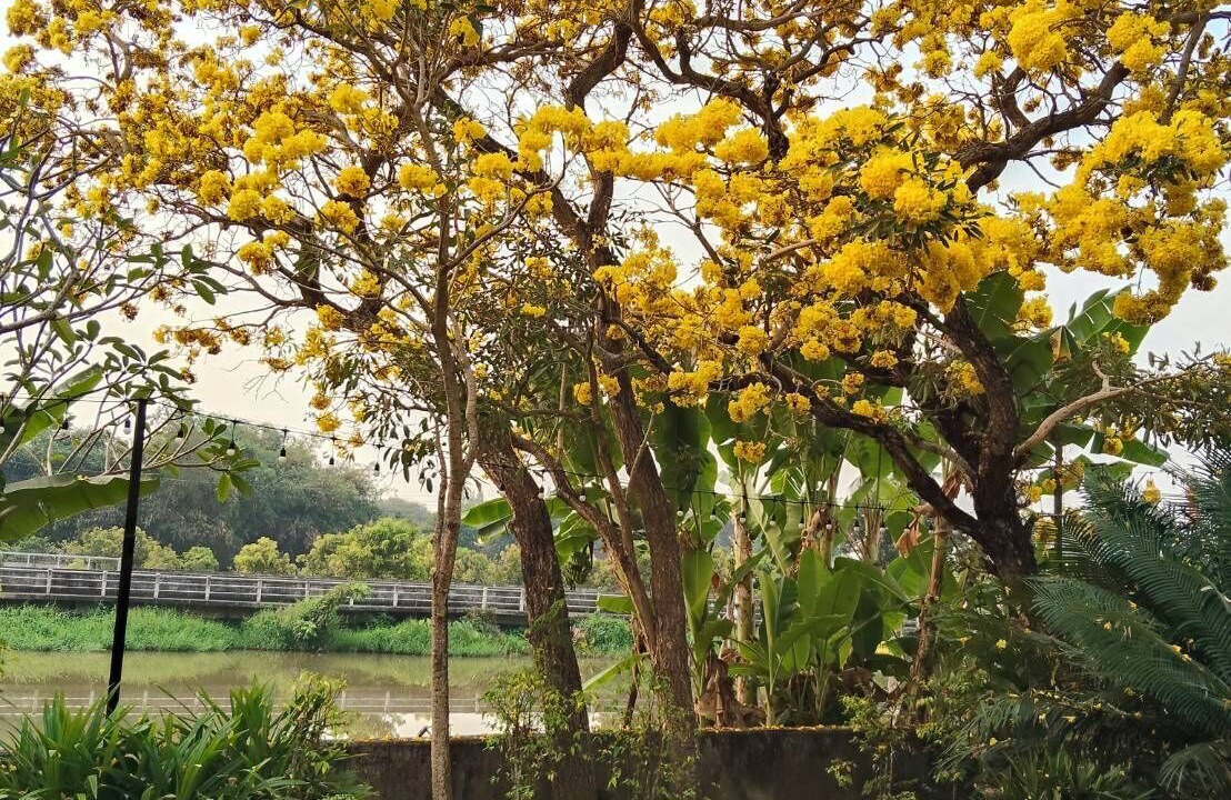 Photo of Outdoor in Chiang Mai