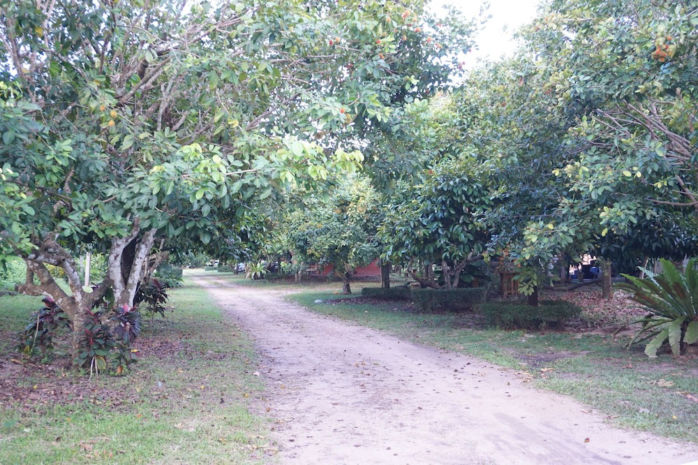 Photo of Outdoor in Ranong