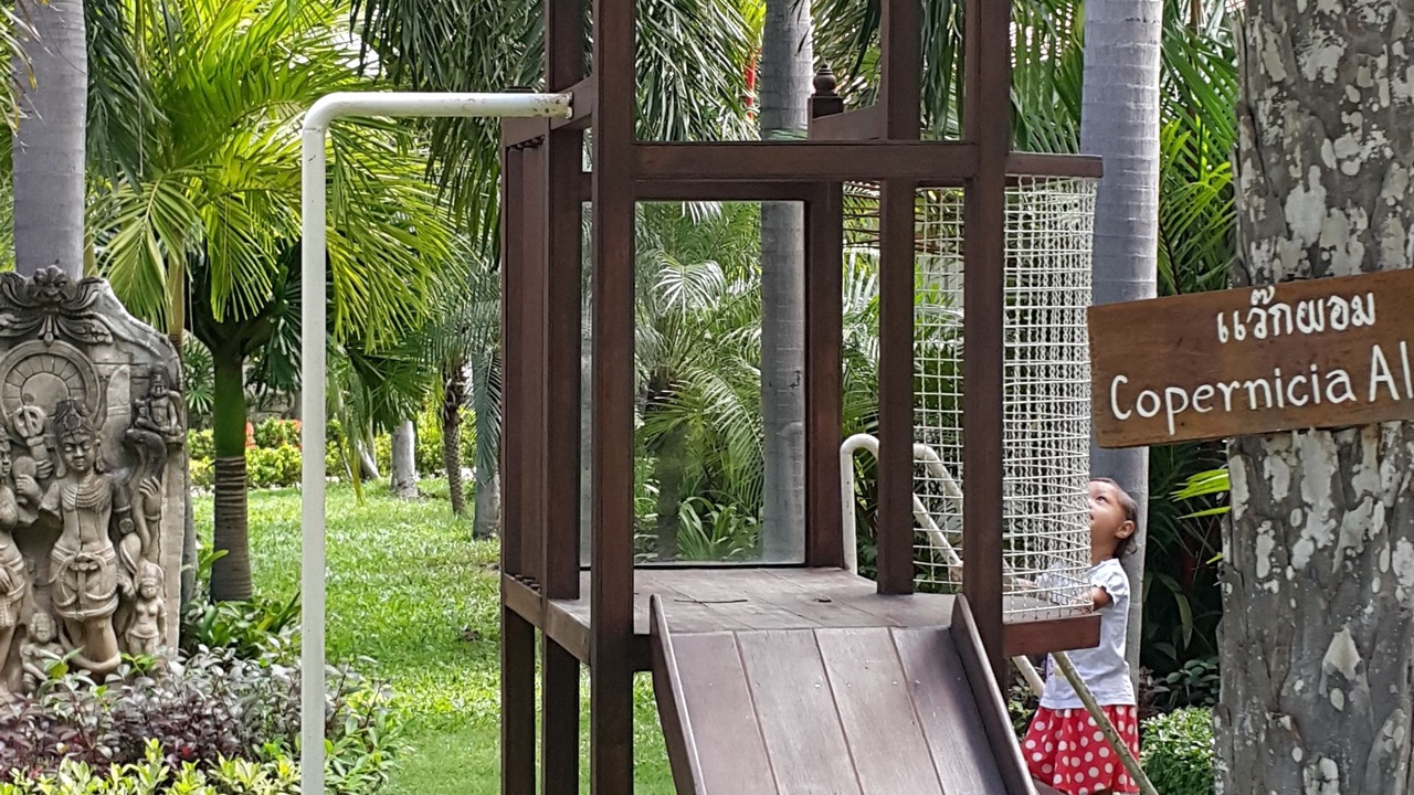 Photo of Outdoor in North Pattaya