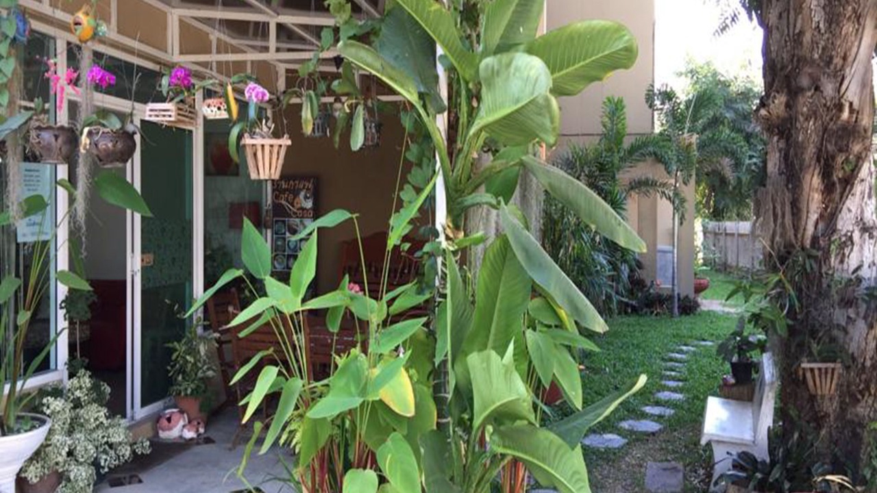 Photo of Outdoor in Chiang Mai