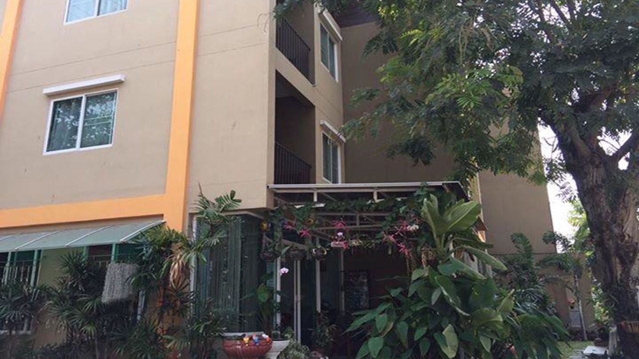Photo of Outdoor in Chiang Mai
