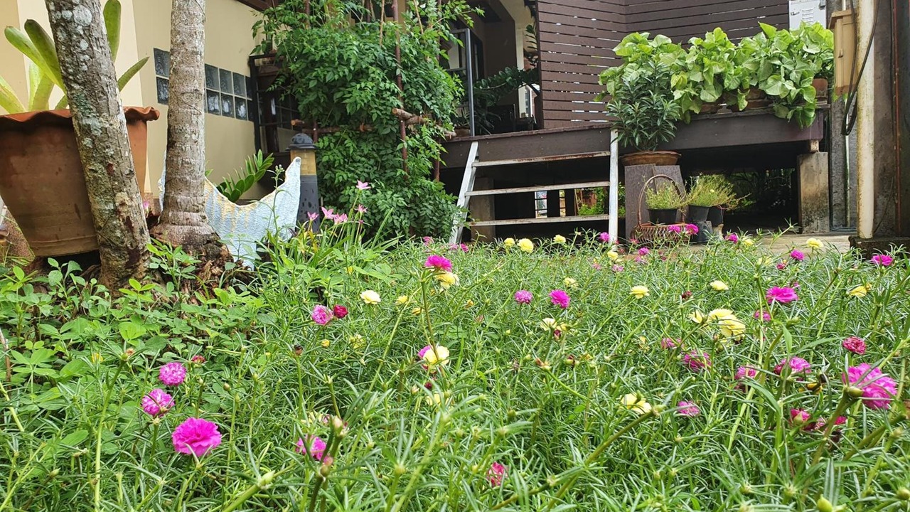 Photo of Outdoor in Chumphon