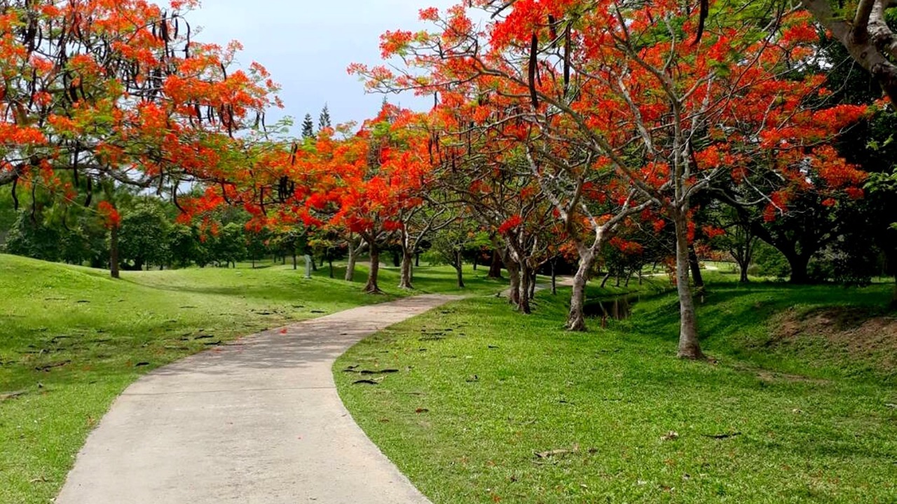 Photo of Outdoor in San Sai