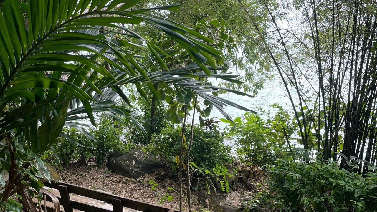 Photo of Bedroom in Ko Phi Phi