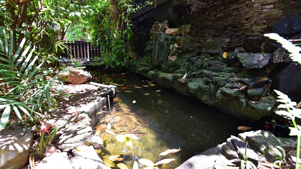 Photo of Outdoor in Downtown Hat Yai