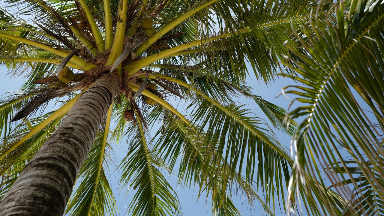 Photo of Others in Ko Chang