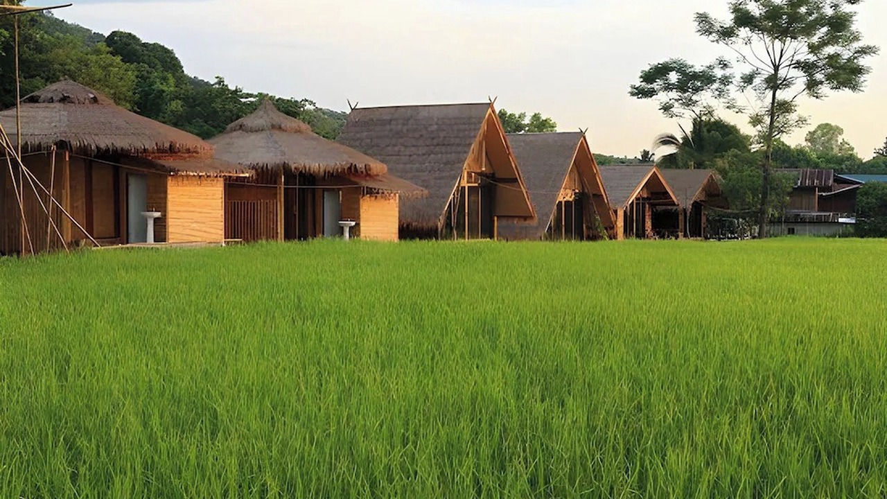 Photo of Outdoor in Pua