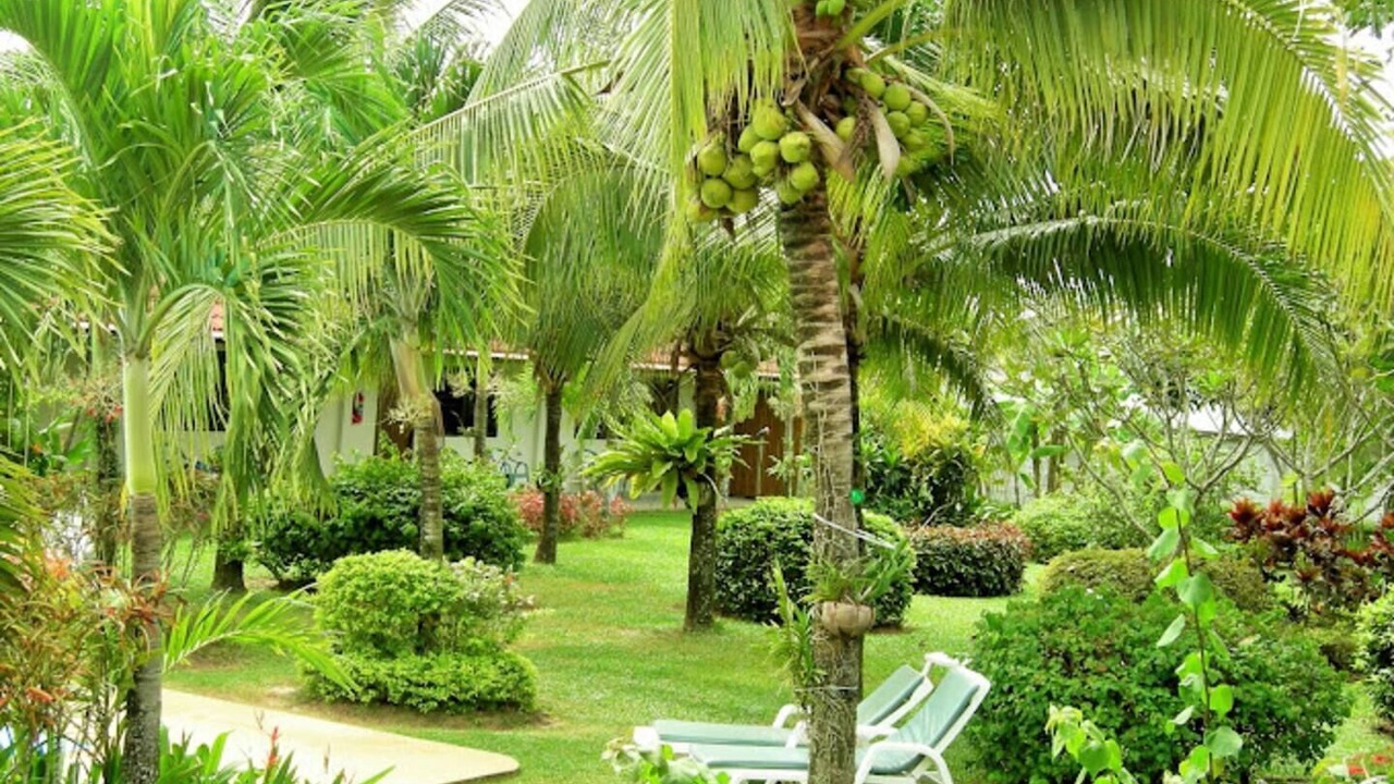 Photo of Outdoor in Sa Khu