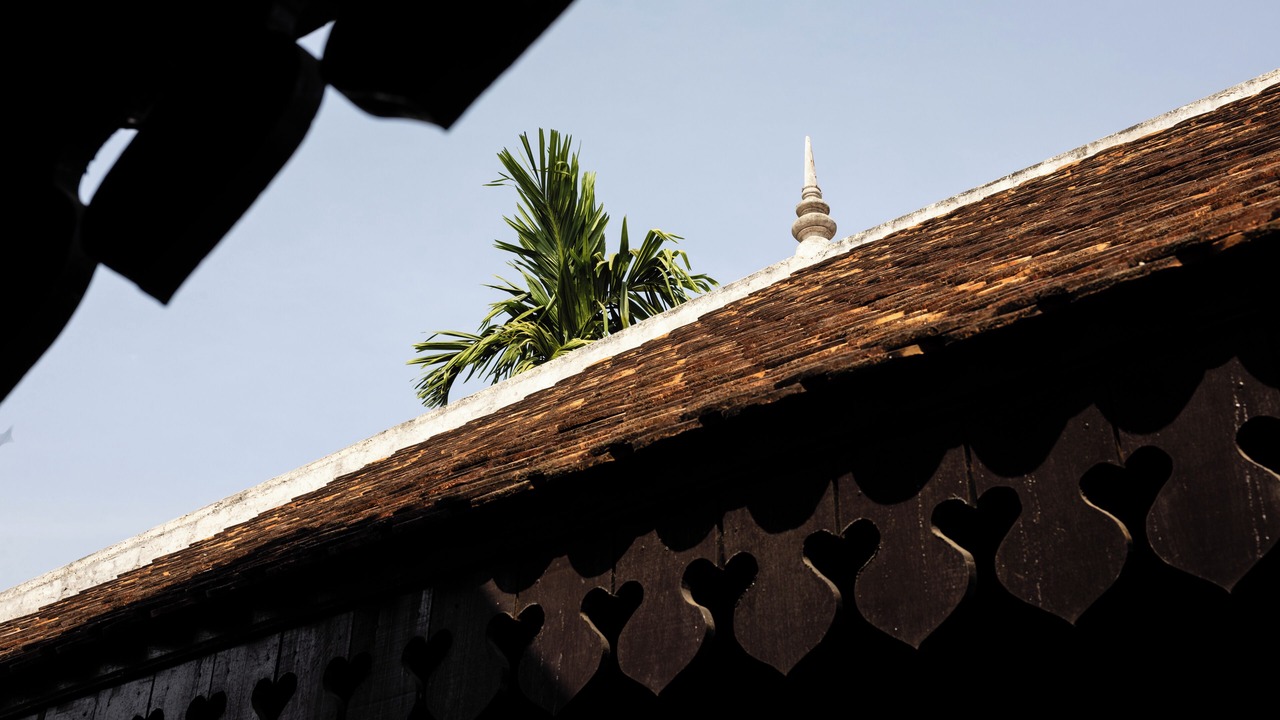 Photo of Outdoor in Siem Reap