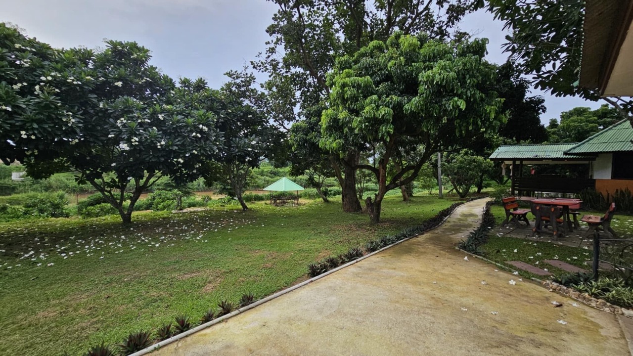 Photo of Others in San Sai