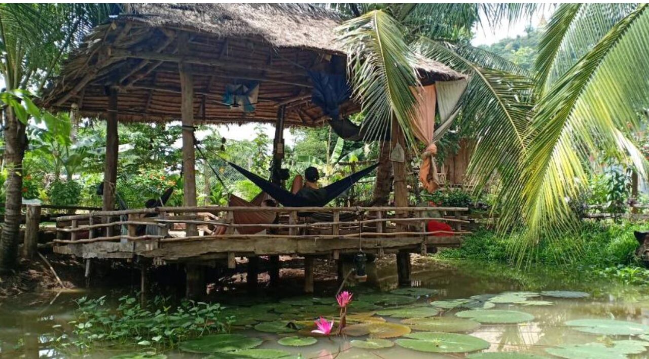Photo of Outdoor in Banan