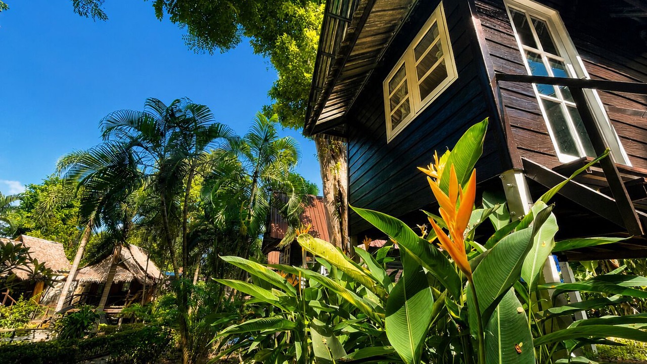 Photo of Outdoor in Bai Lan