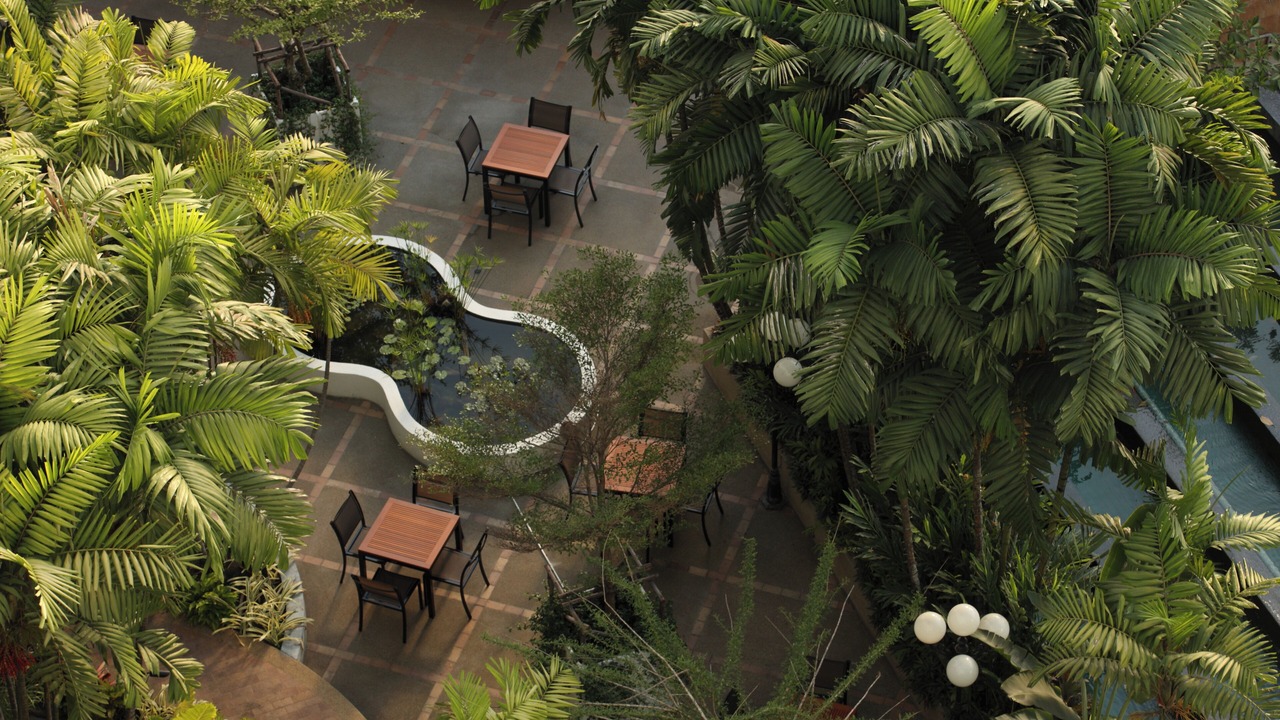 Photo of Outdoor in Nong Bon