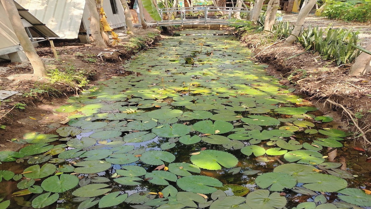 Photo of Outdoor in Banan