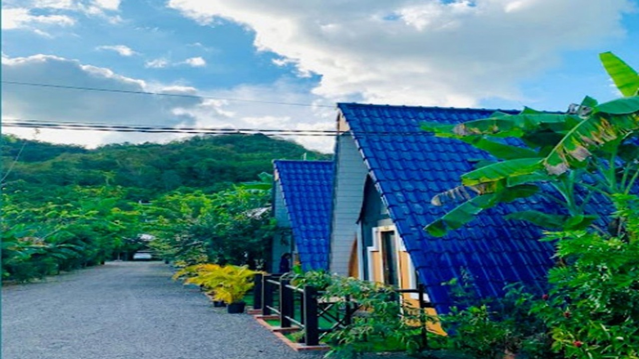 Photo of Outdoor in Banan