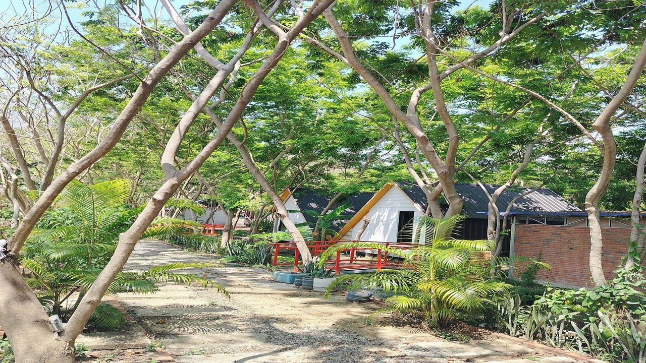 Photo of Outdoor in Banan