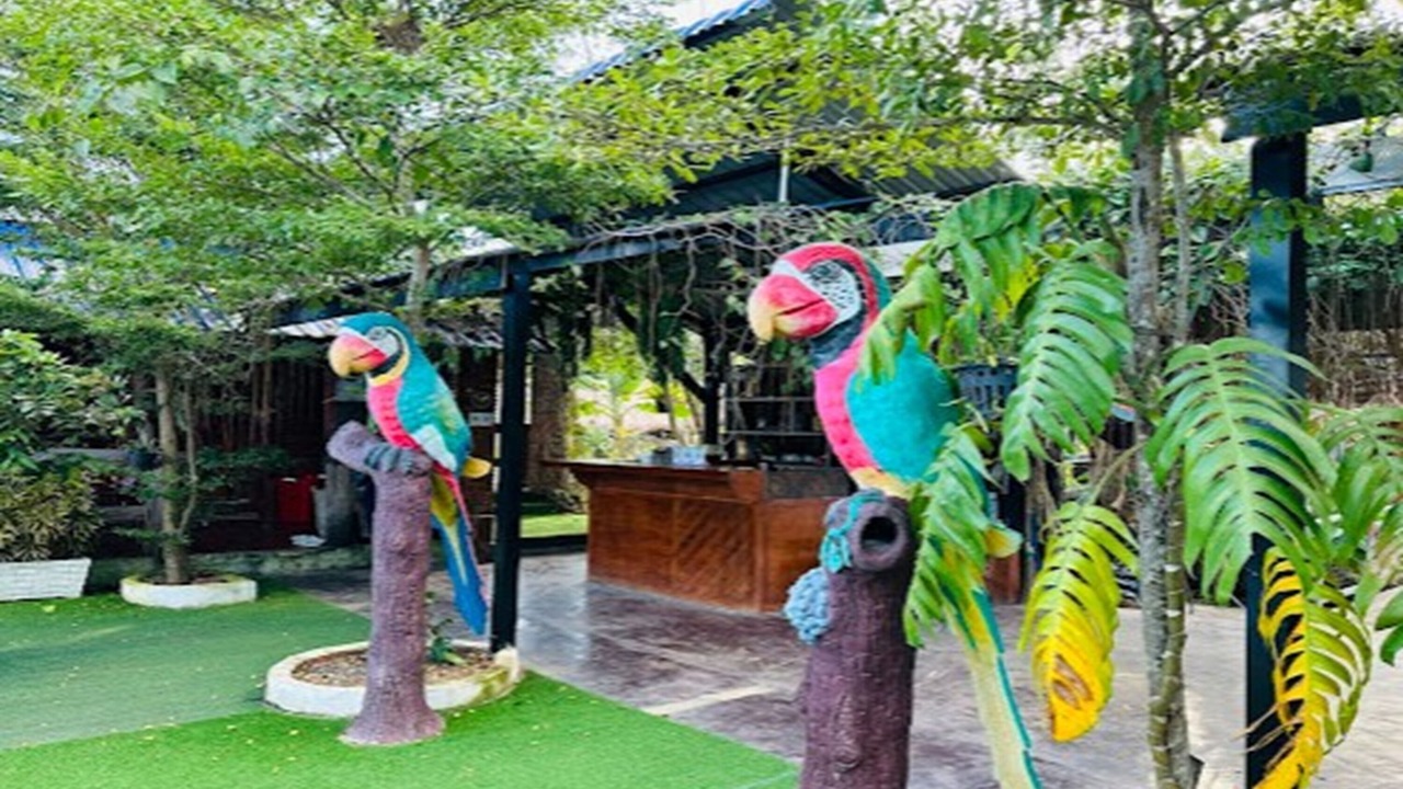 Photo of Outdoor in Banan