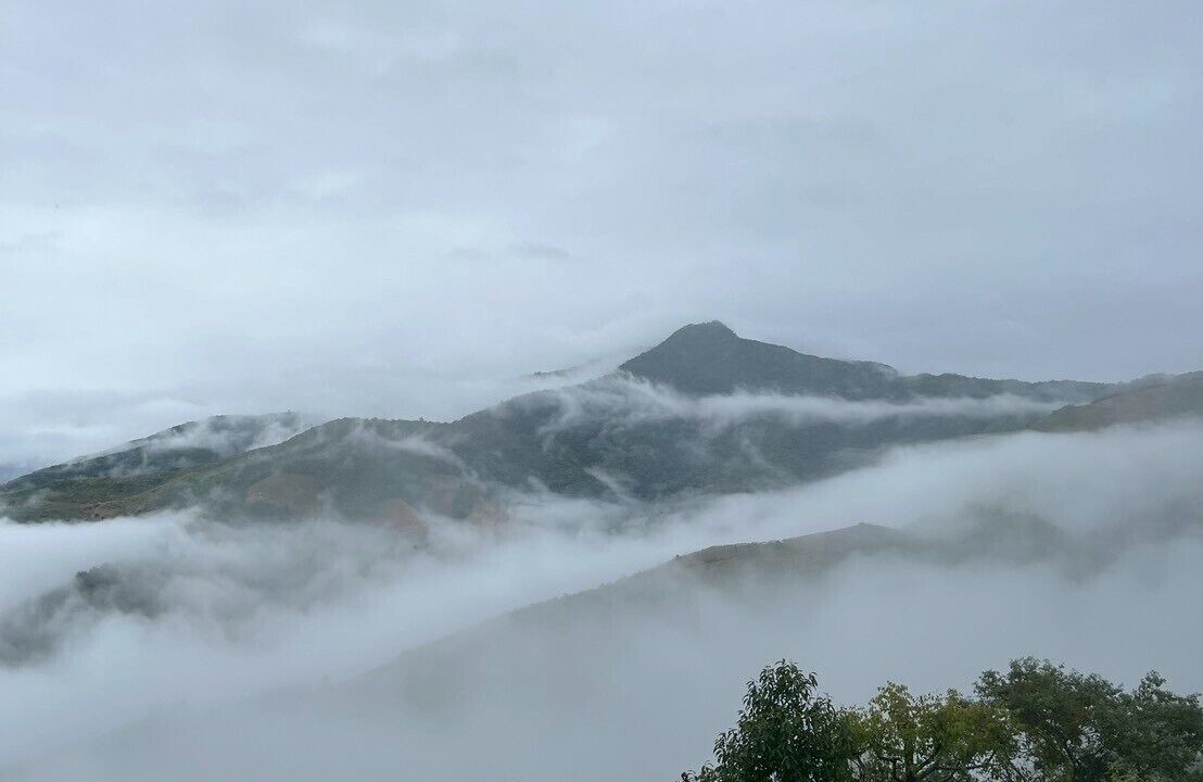 Photo of Others in Pua
