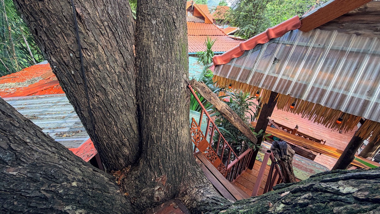 Photo of Bedroom in Pai