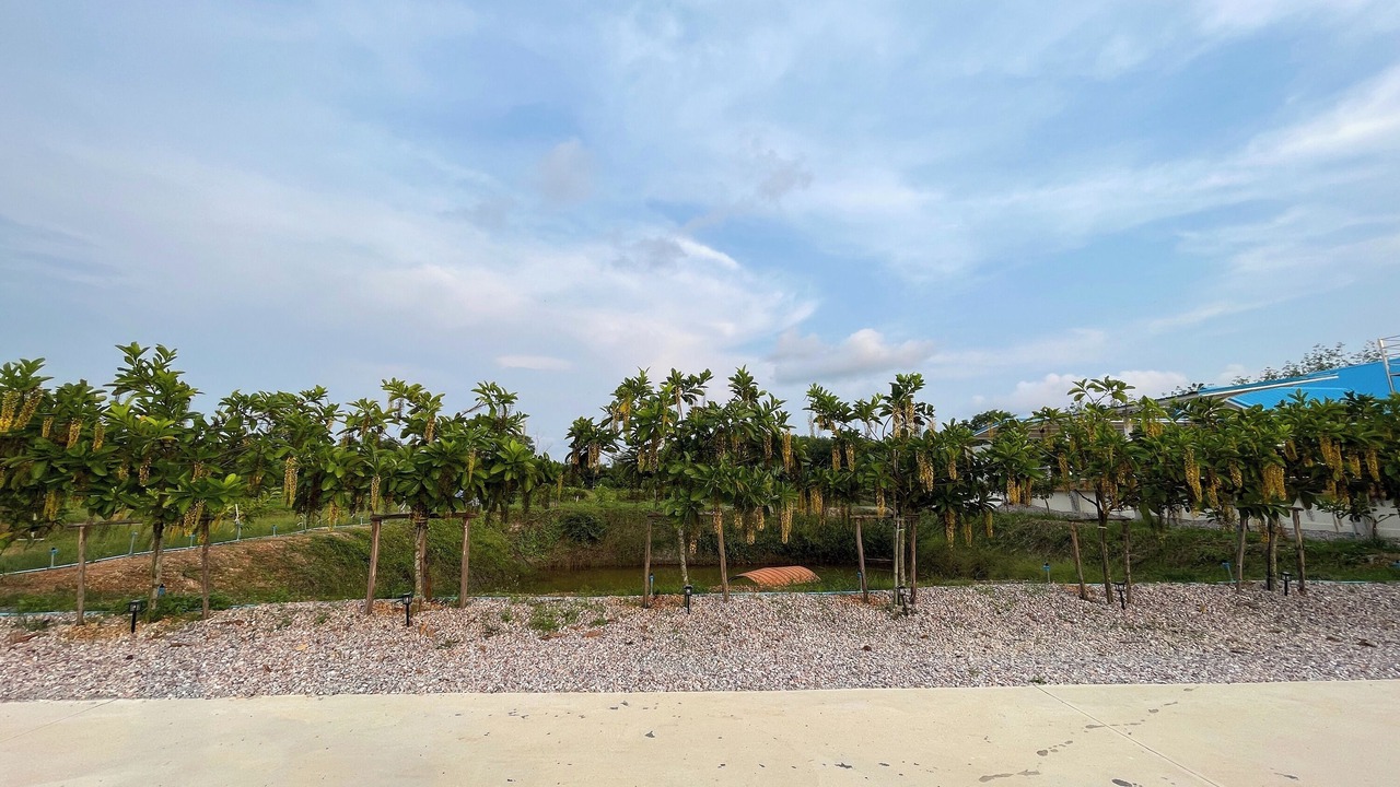 Photo of Outdoor in Klaeng