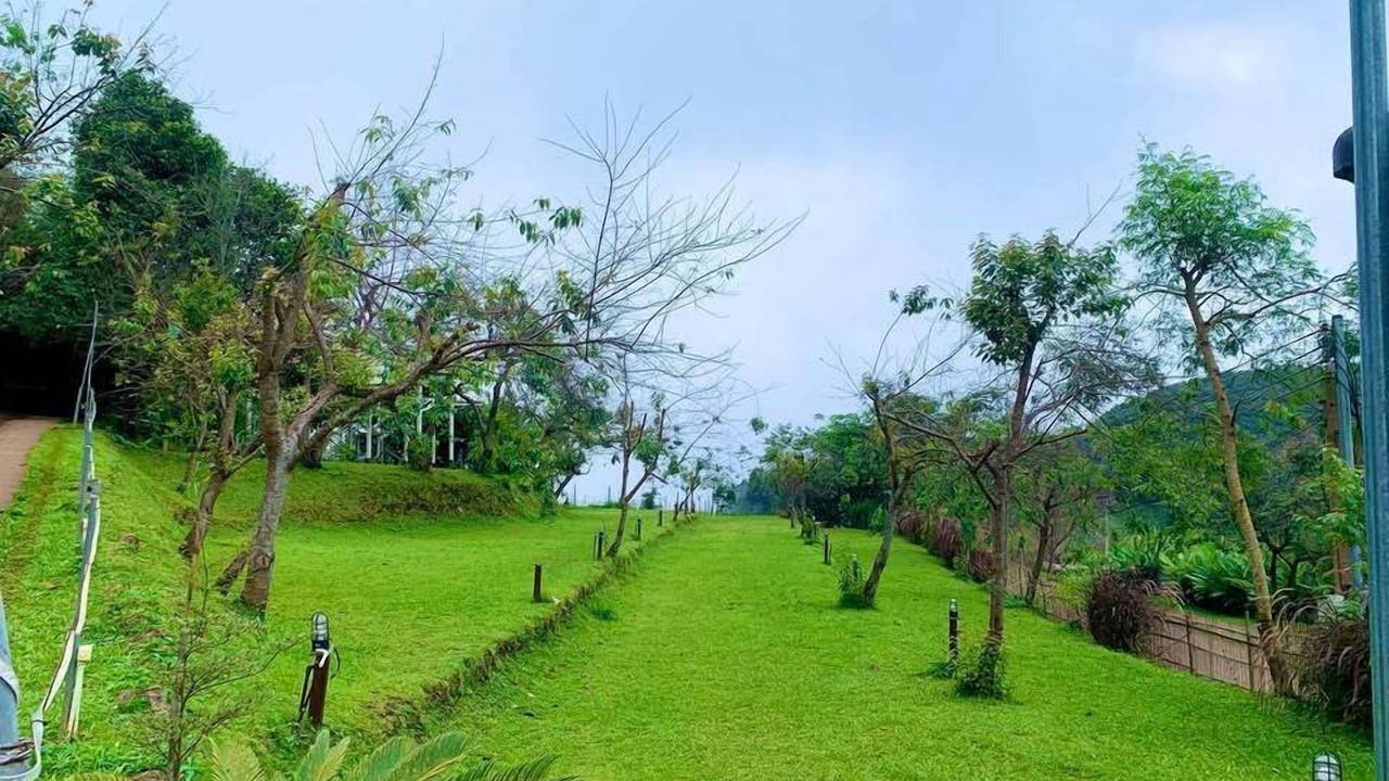 Photo of Others in Nong Hoi