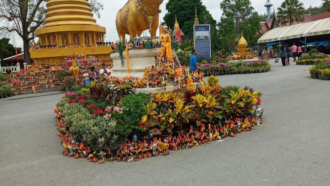Photo of Outdoor in Khanom