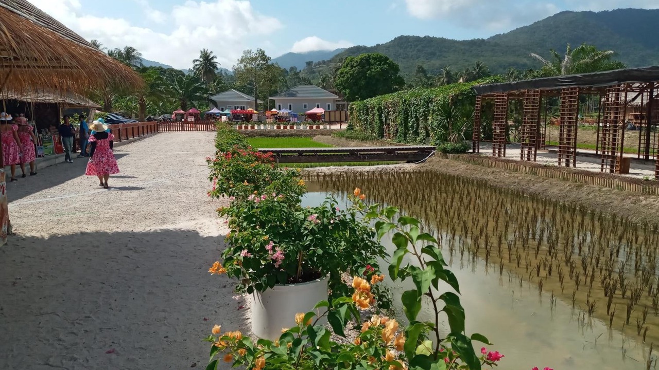 Photo of Outdoor in Khanom