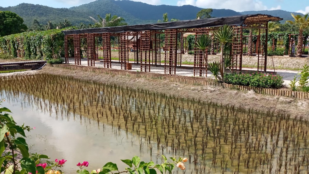 Photo of Outdoor in Khanom