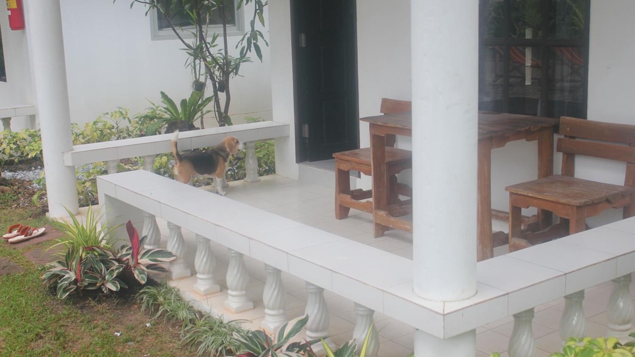 Photo of Patio Balcony in Ko Chang