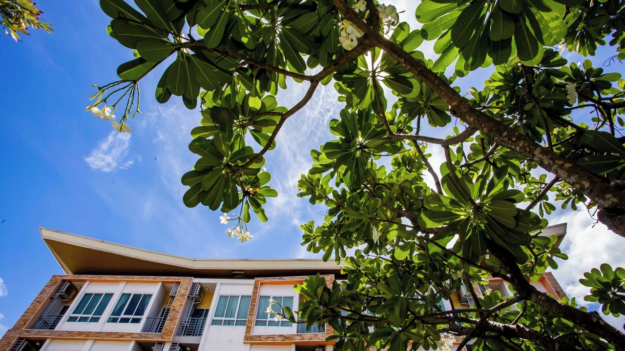 Photo of Outdoor in Si Racha