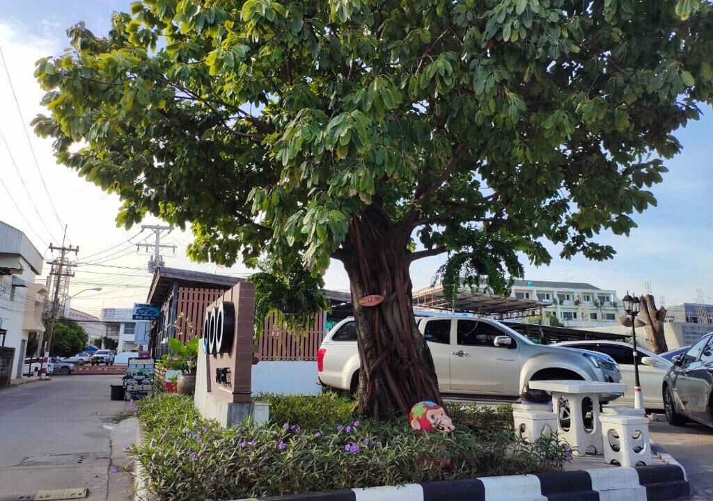 Photo of Others in Buriram Province
