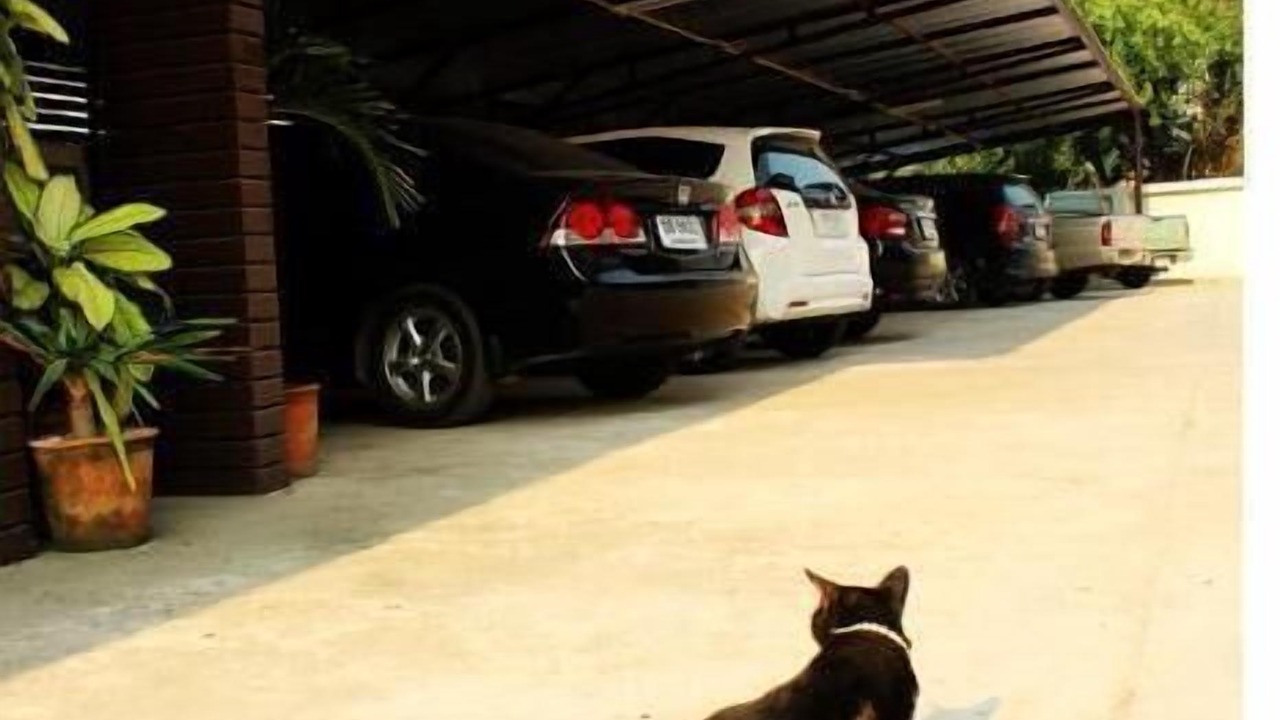 Photo of Others in Chiang Rai
