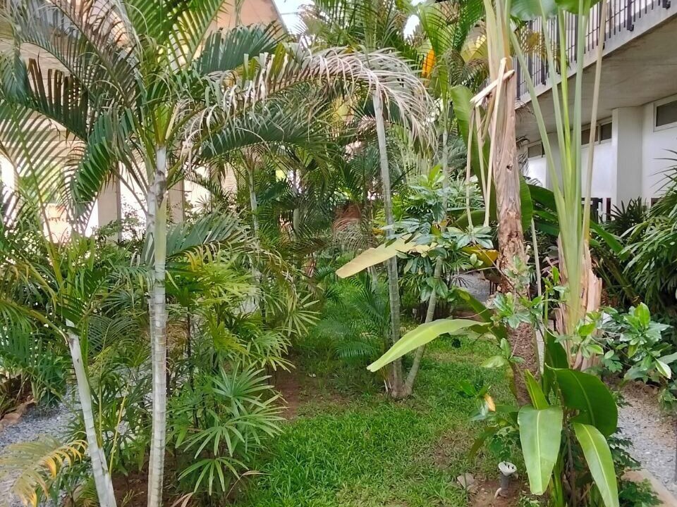 Photo of Outdoor in Siem Reap