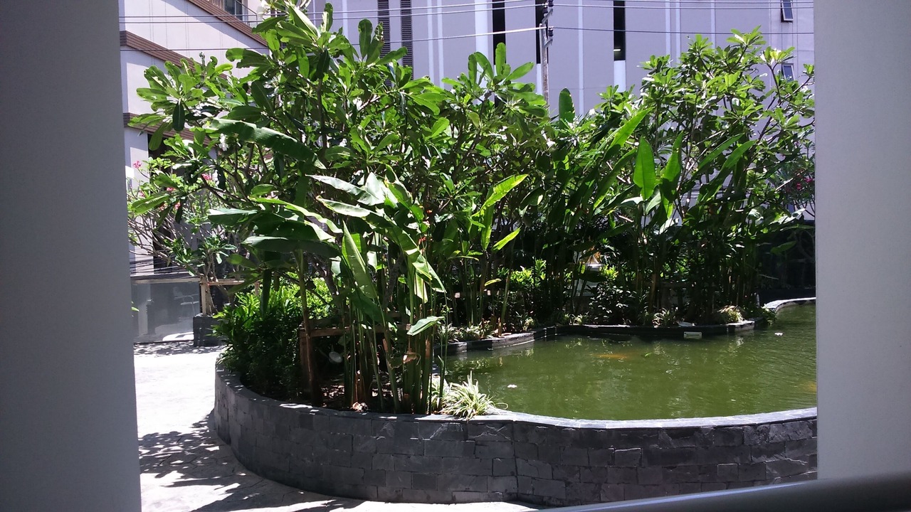 Photo of Others in North Pattaya
