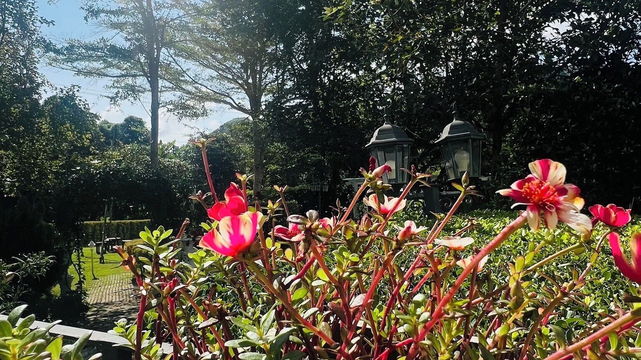 Photo of Outdoor in Hang Dong