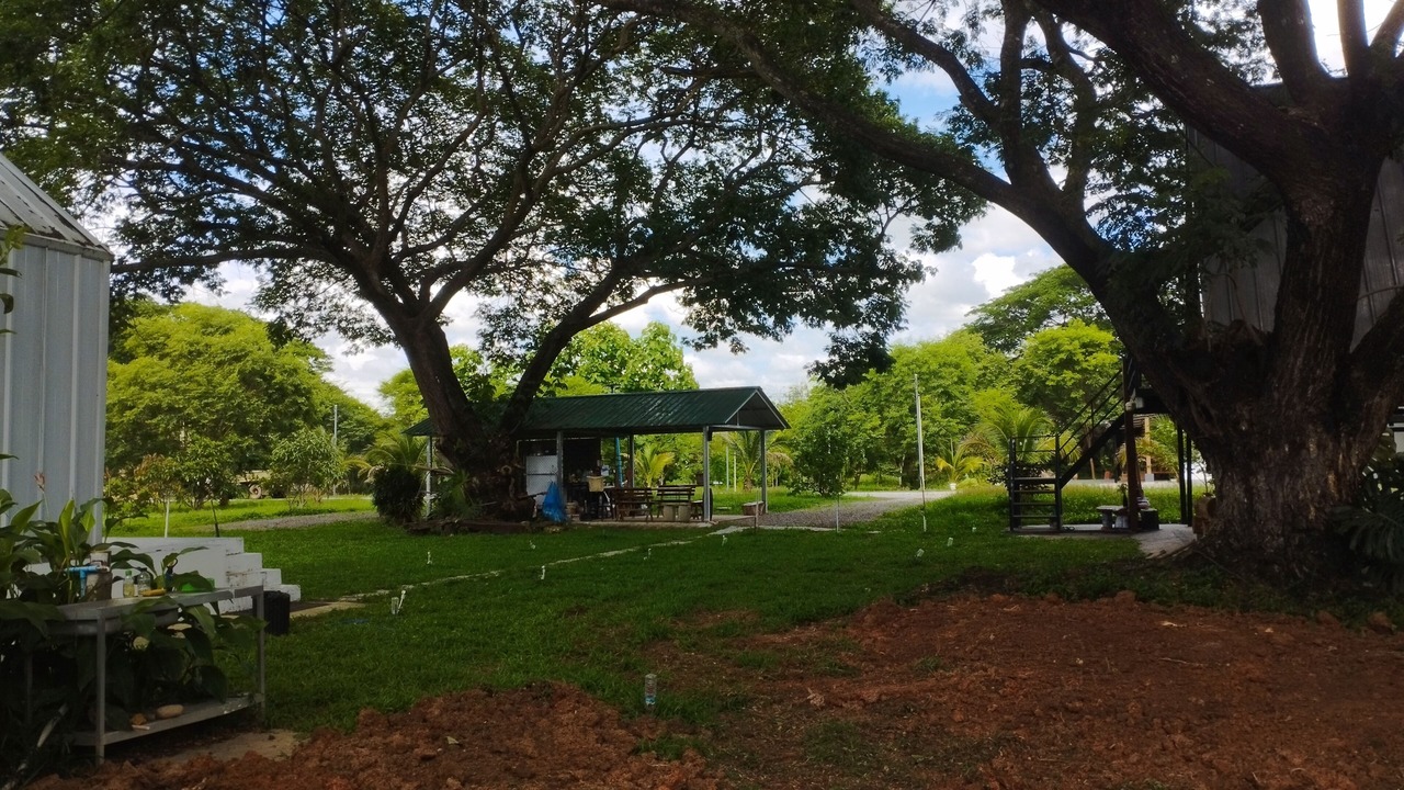 Photo of Outdoor in Nai Wiang
