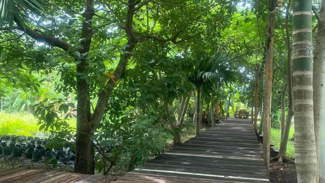 Photo of Outdoor in Rim Nuea
