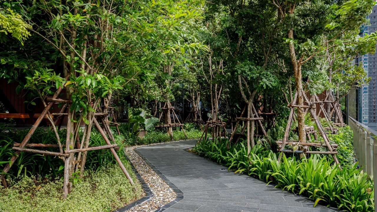 Photo of Outdoor in Rama 9