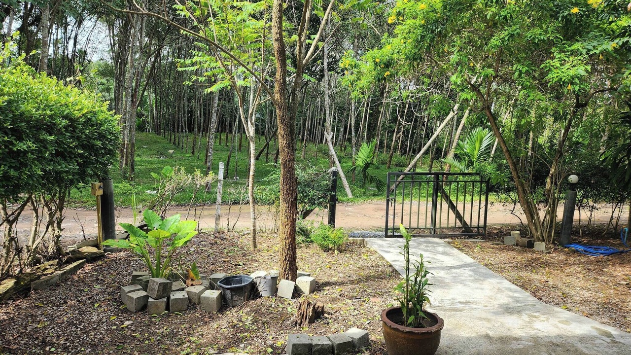 Photo of Outdoor in Ko Lanta