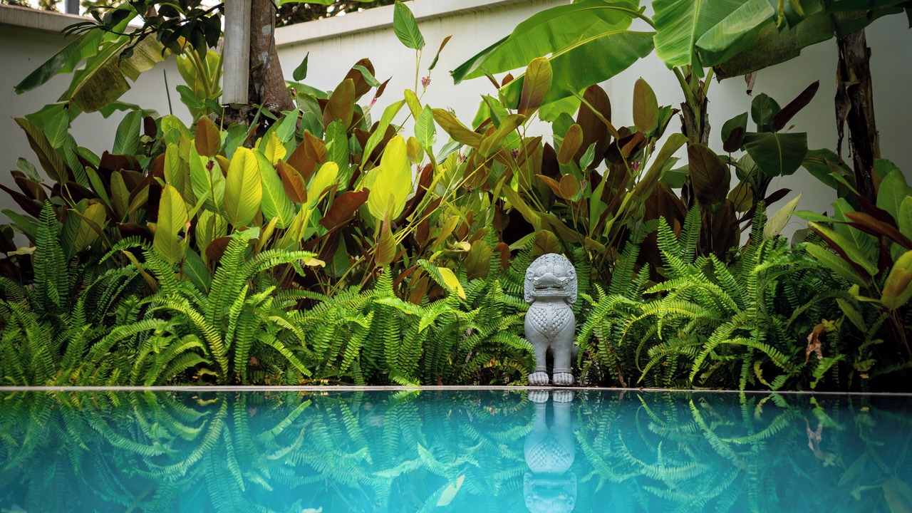 Photo of Outdoor in Siem Reap