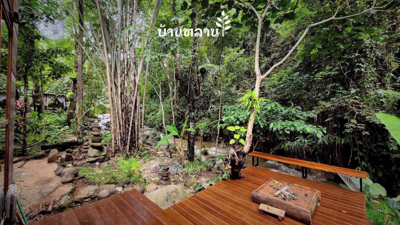 Photo of Outdoor in Chiang Dao District