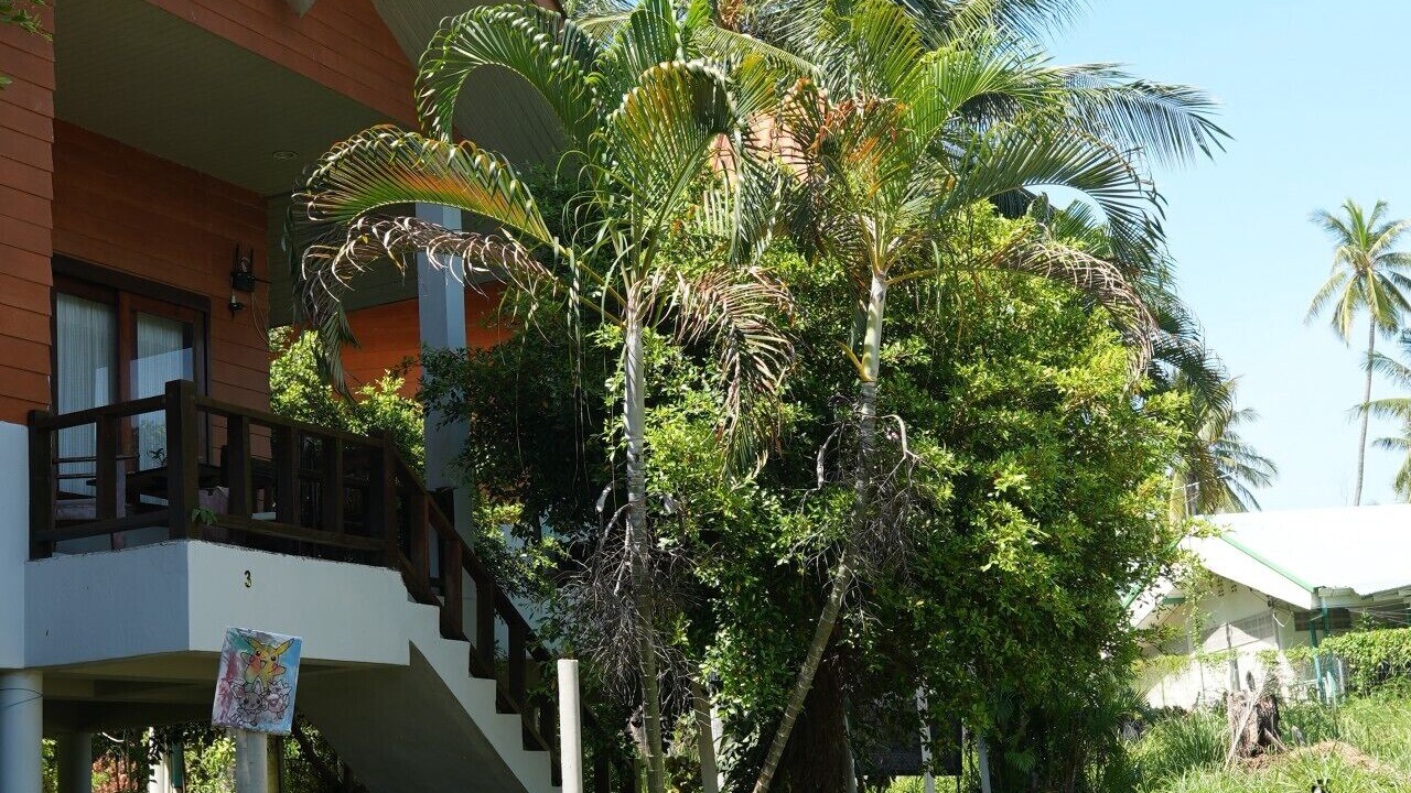 Photo of Others in Thong Sala