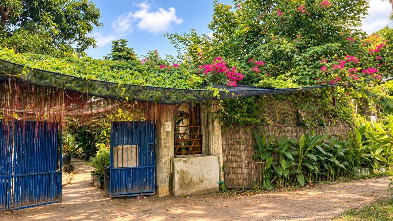 Photo of Outdoor in Siem Reap