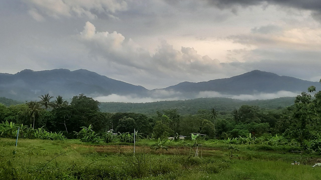 Photo of Others in Mae Rim