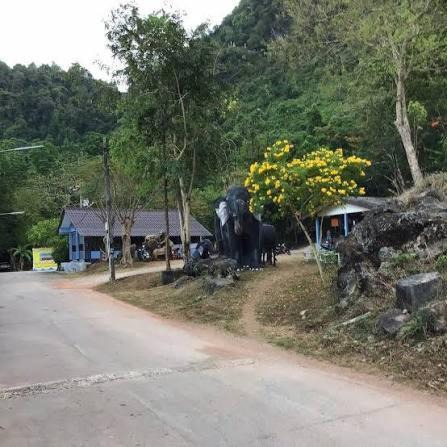 Photo of Others in Ban Wang Hom