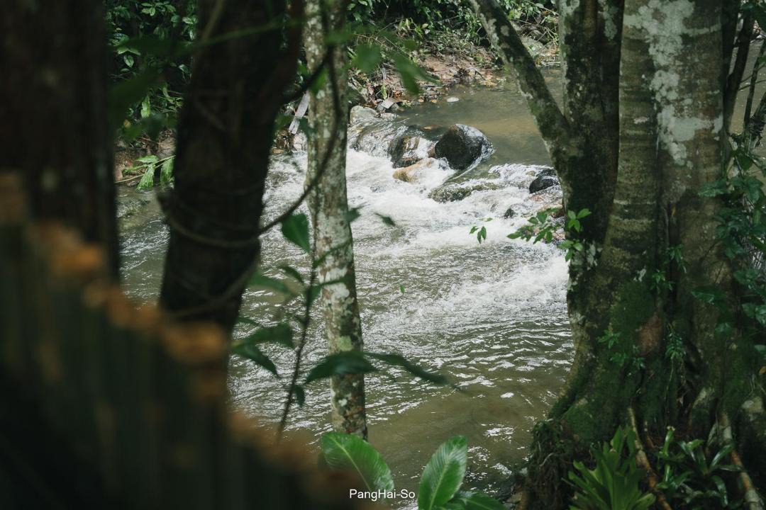 Photo of Others in Doi Saket