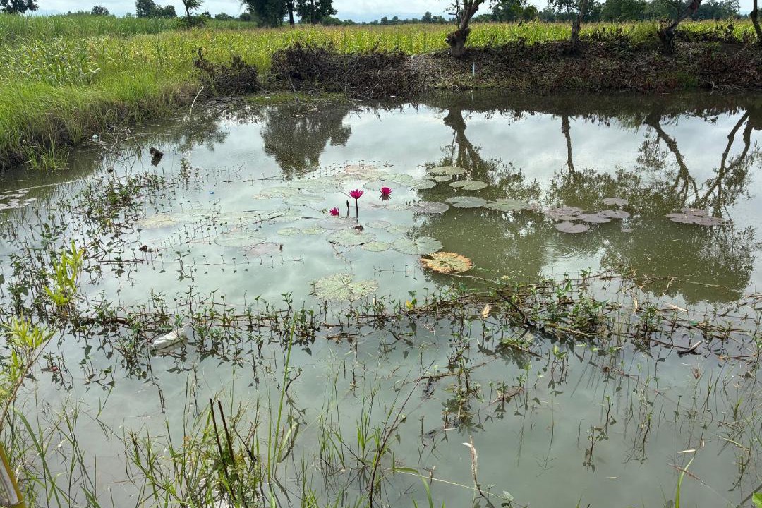 Photo of Others in Wichian Buri
