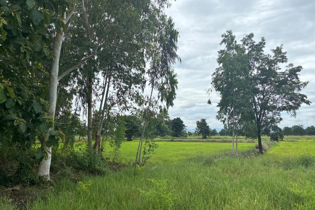 Photo of Others in Wichian Buri